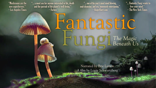 Your next movie night: Fantastic Fungi - Cellar Mushrooms