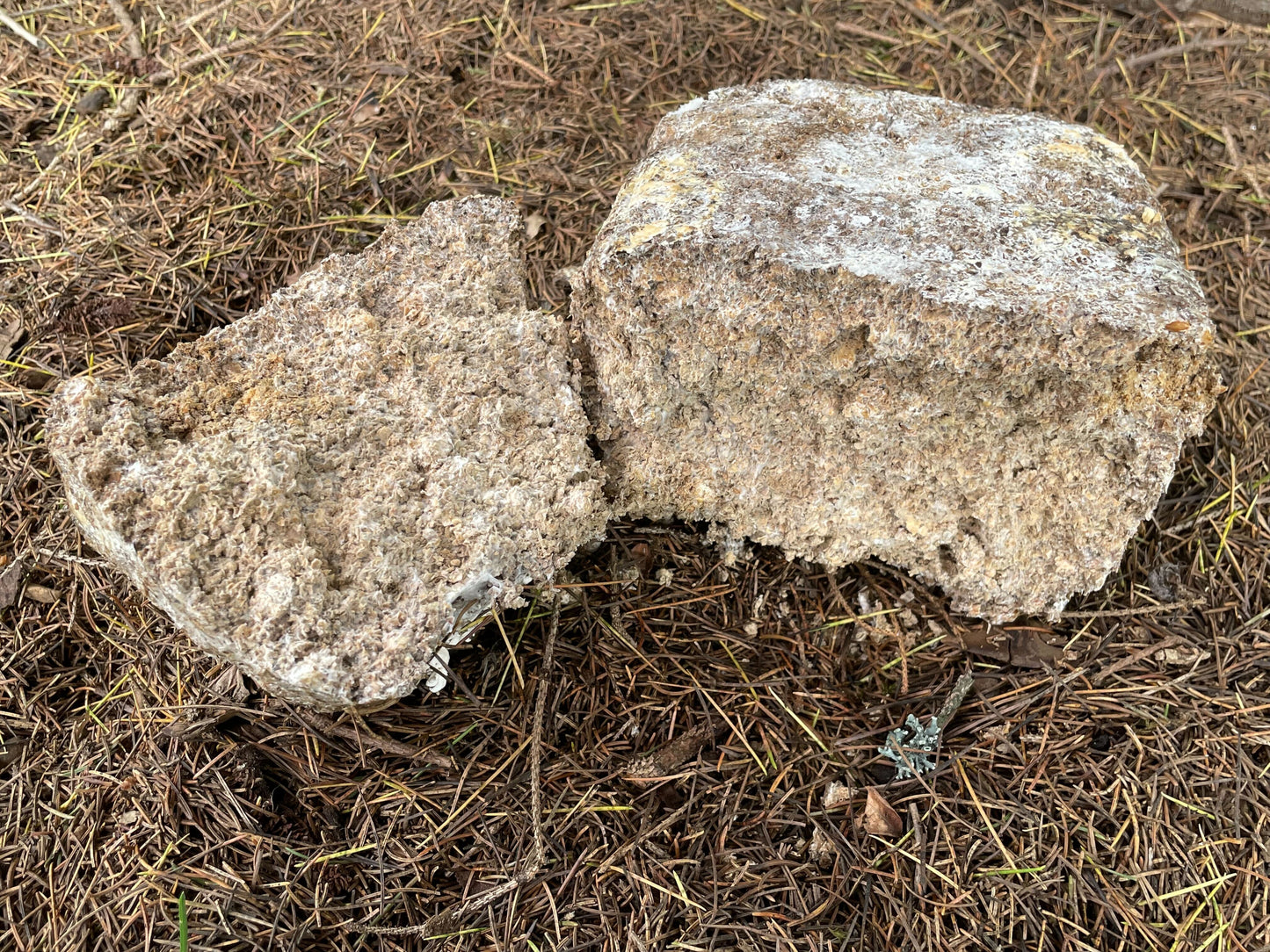 Mushroom Mulch