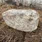 Mushroom Mulch